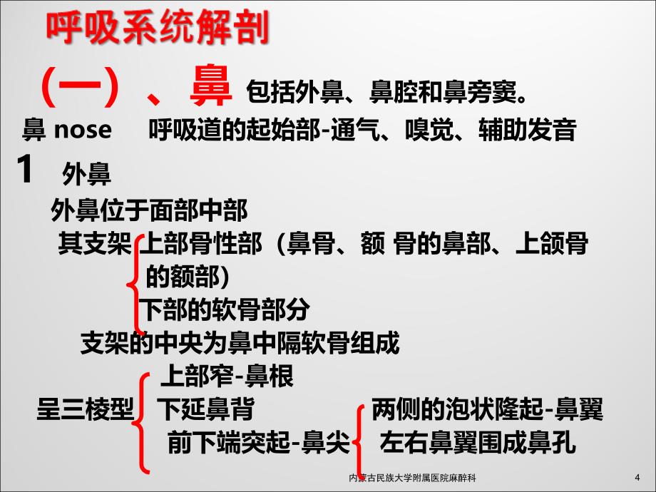 呼吸系统解剖与麻醉ppt课件_第4页