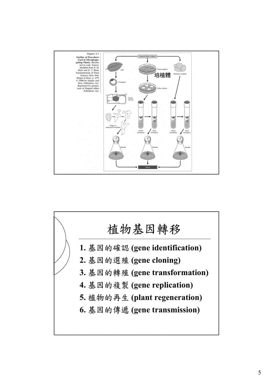 生活园艺608_第5页