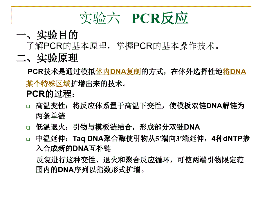 实验六PCR反应_第1页