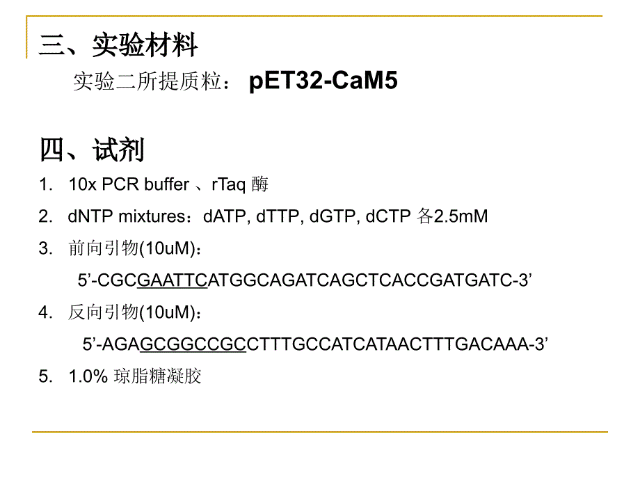 实验六PCR反应_第2页