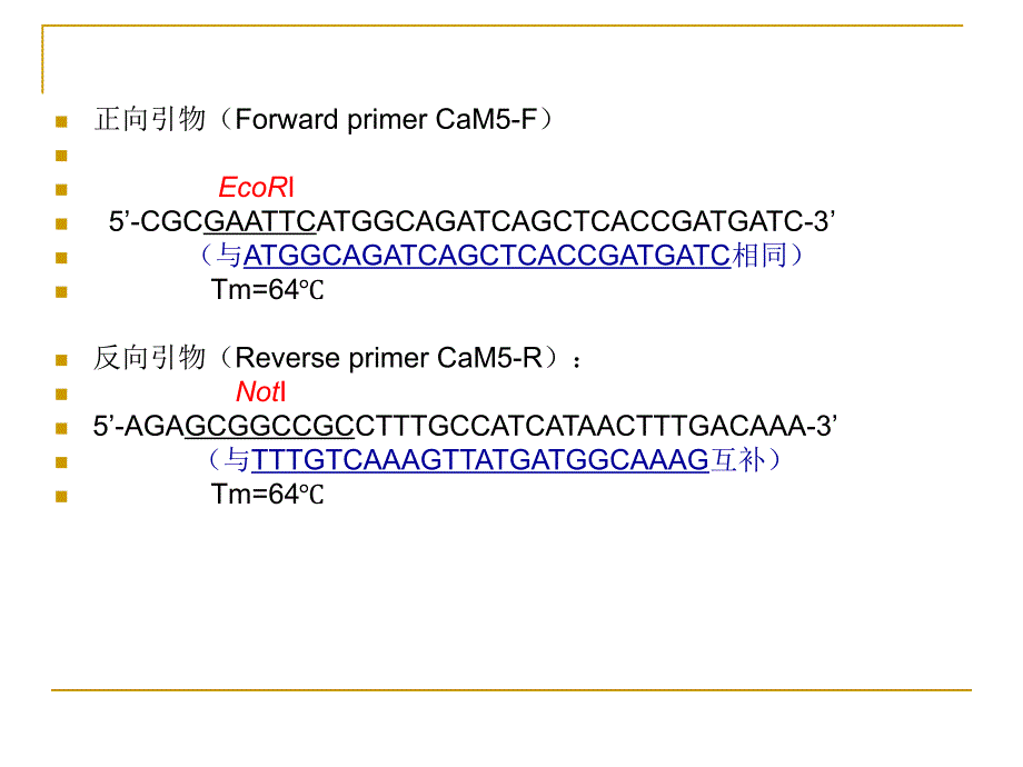 实验六PCR反应_第4页