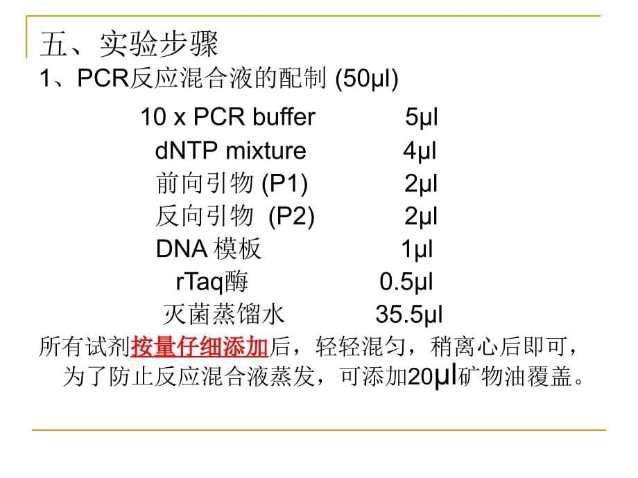 实验六PCR反应_第5页