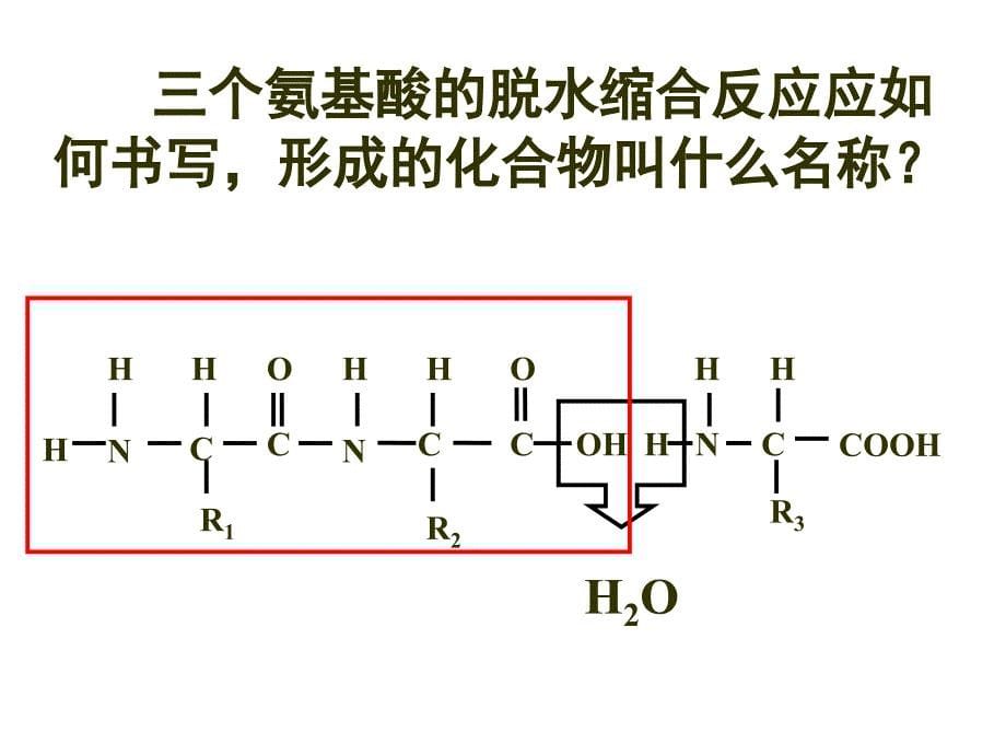 蛋白质254052_第5页