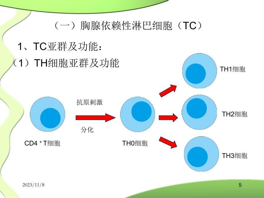 粘膜免疫ppt课件_第5页