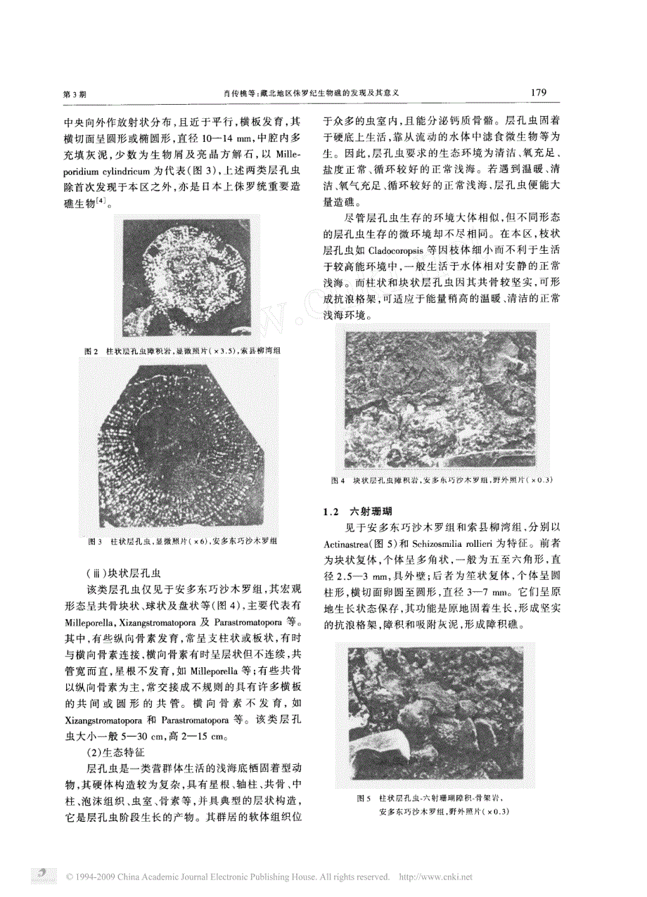 藏北地区侏罗纪生物礁的发现及其意义_第2页