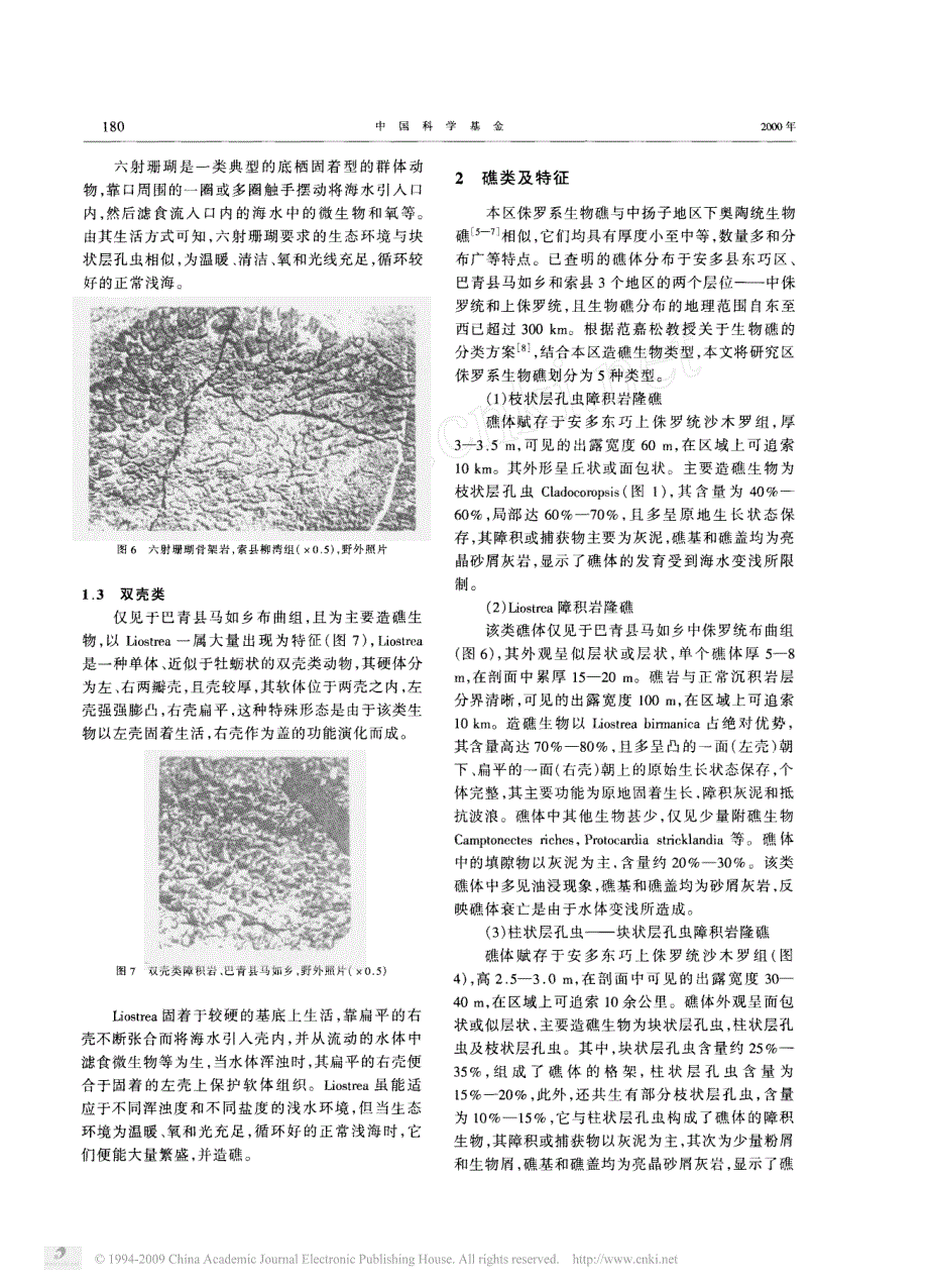 藏北地区侏罗纪生物礁的发现及其意义_第3页