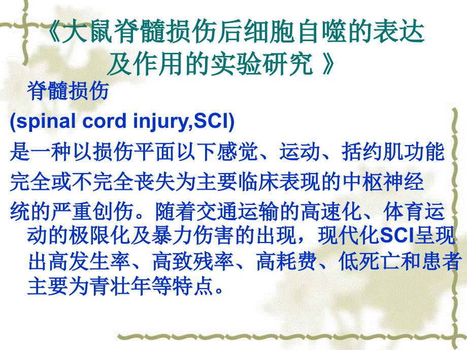 多发性骨髓瘤的护理1ppt课件_第2页