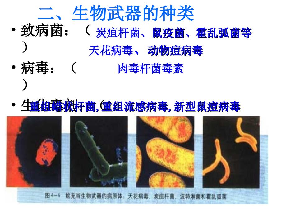 禁止生物武器ppt课件_第4页