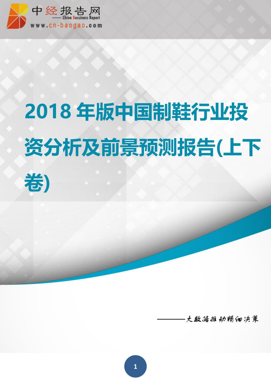 中国制鞋行业投资分析及前景预测报告上下卷2018年版_第1页