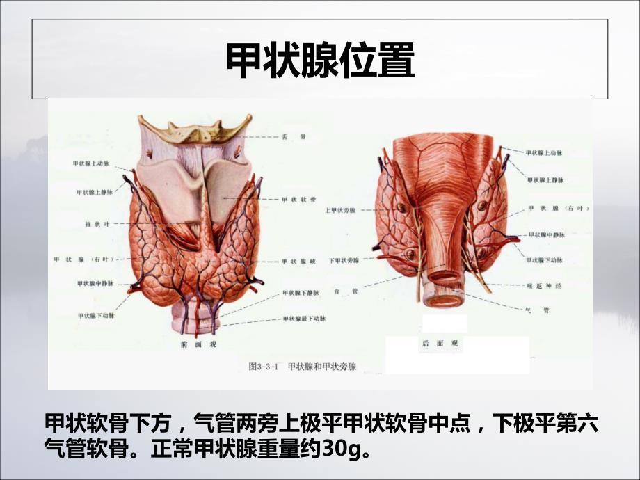 甲状腺术后护理查房ppt课件_第4页