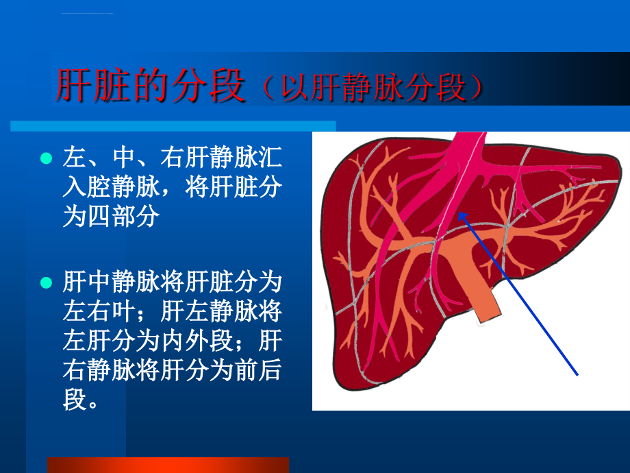科内讲课肝脏的影像学解剖及ct诊断ppt课件_第4页