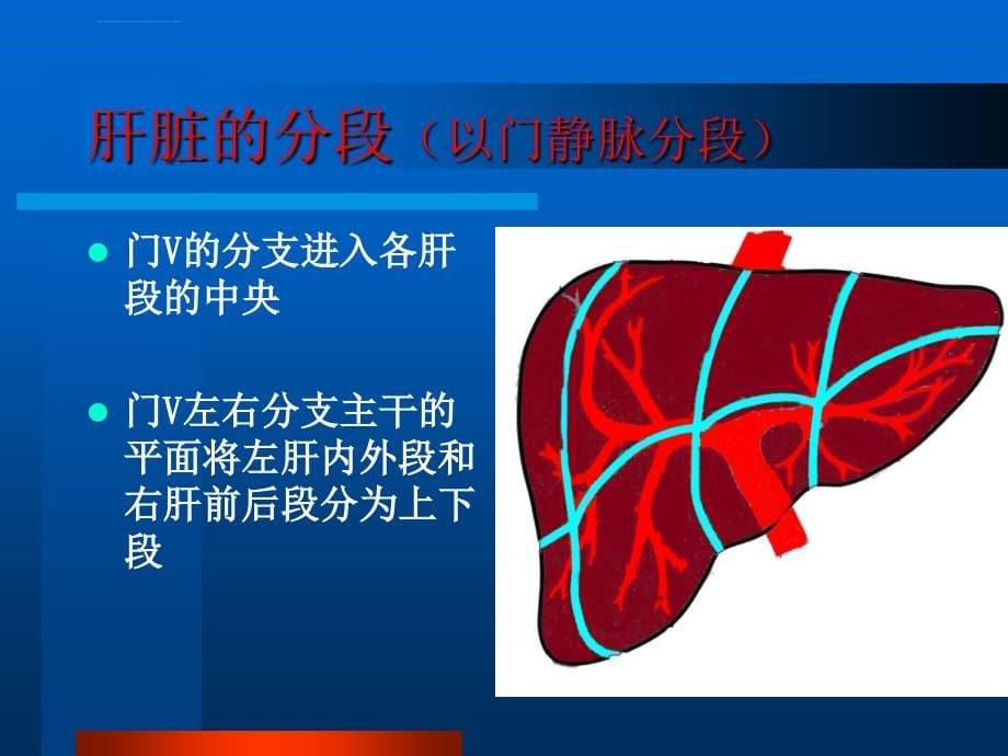 科内讲课肝脏的影像学解剖及ct诊断ppt课件_第5页