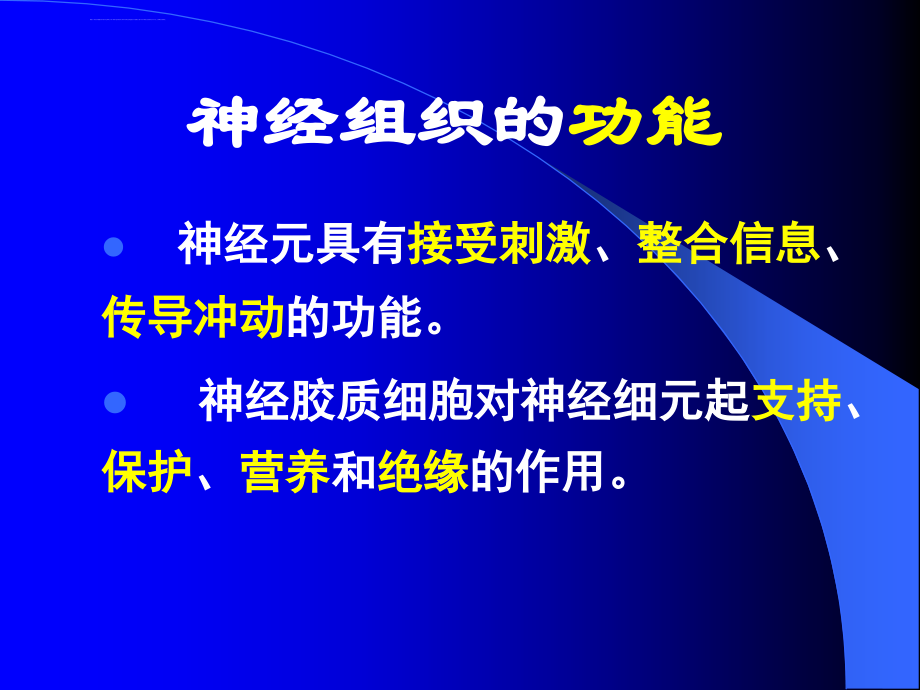 组织与胚胎学神经组织ppt课件_第4页