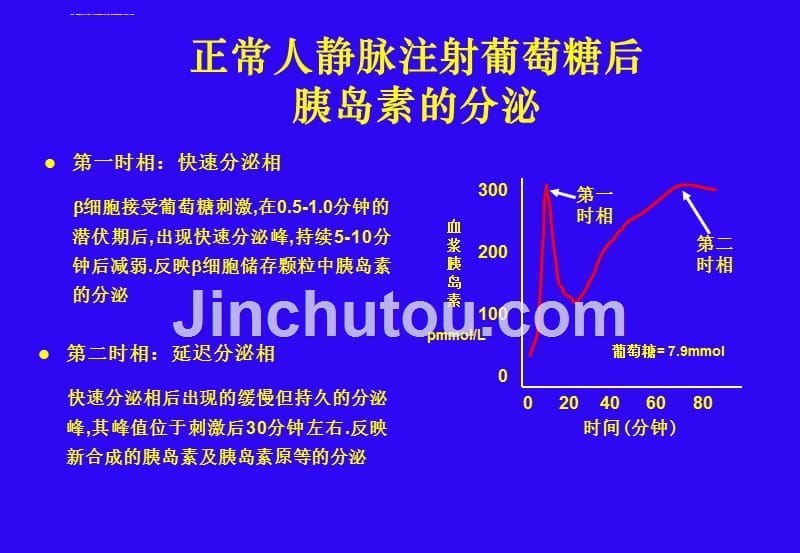 胰岛素类似物设计和临床应用ppt课件_第3页