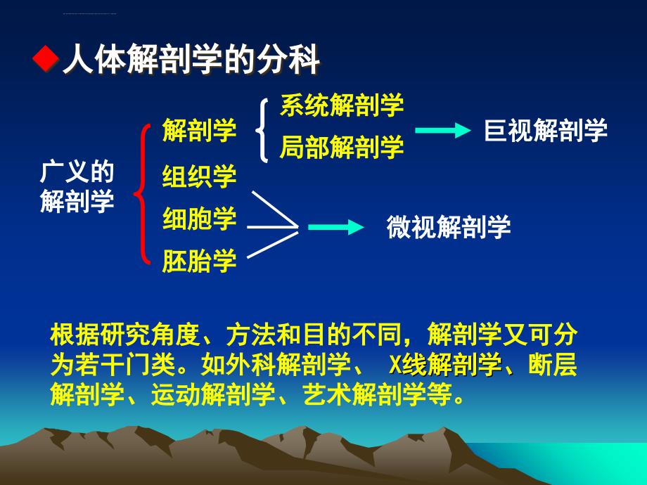 绪论骨学总论人解ppt课件_第4页