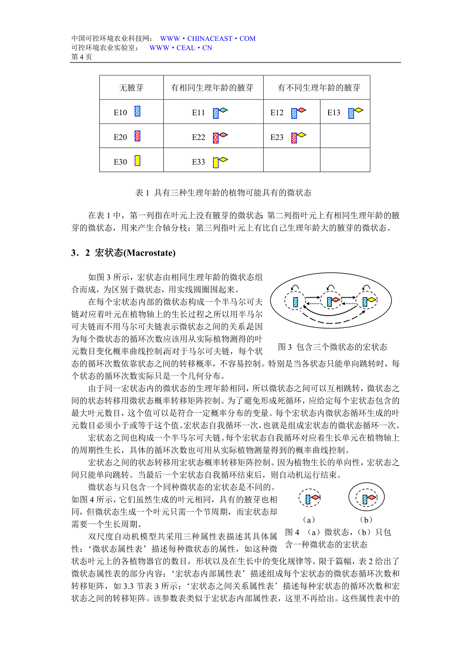 虚拟植物生长的双尺度自动机模型_第4页