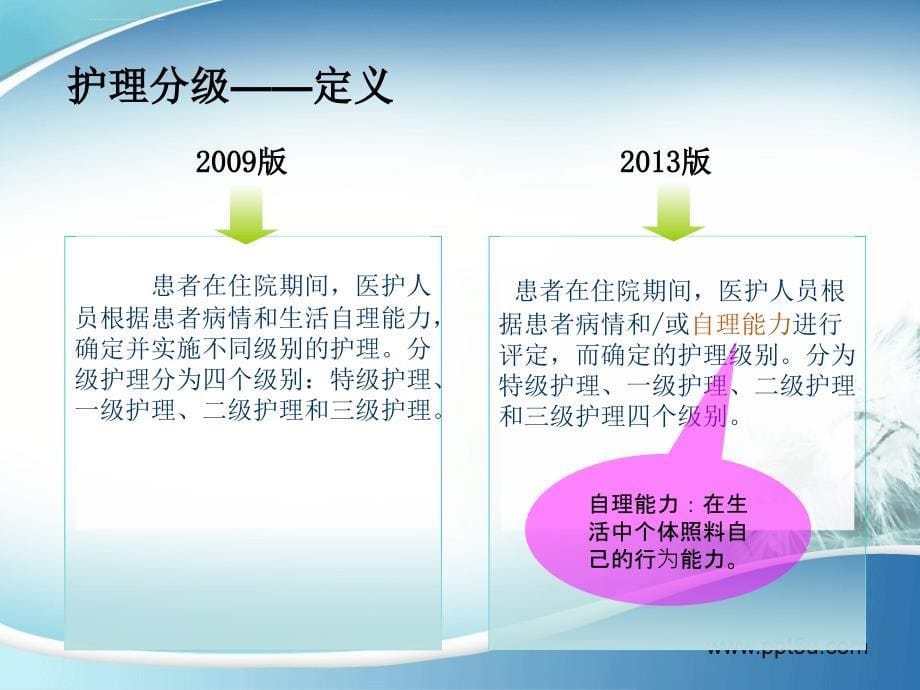 护理分级标准解读版ppt课件_第5页