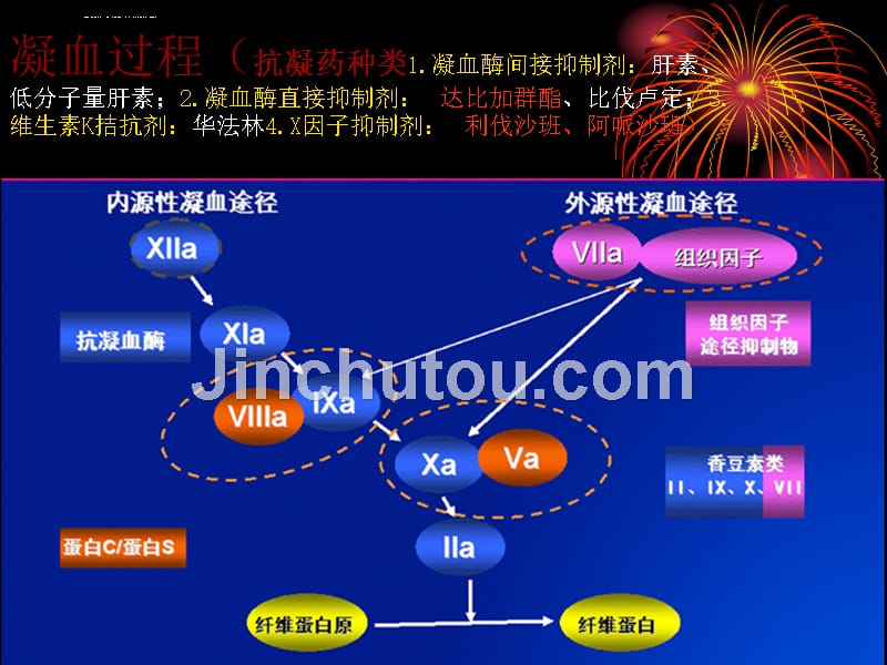 华法林抗凝治疗ppt课件_第3页