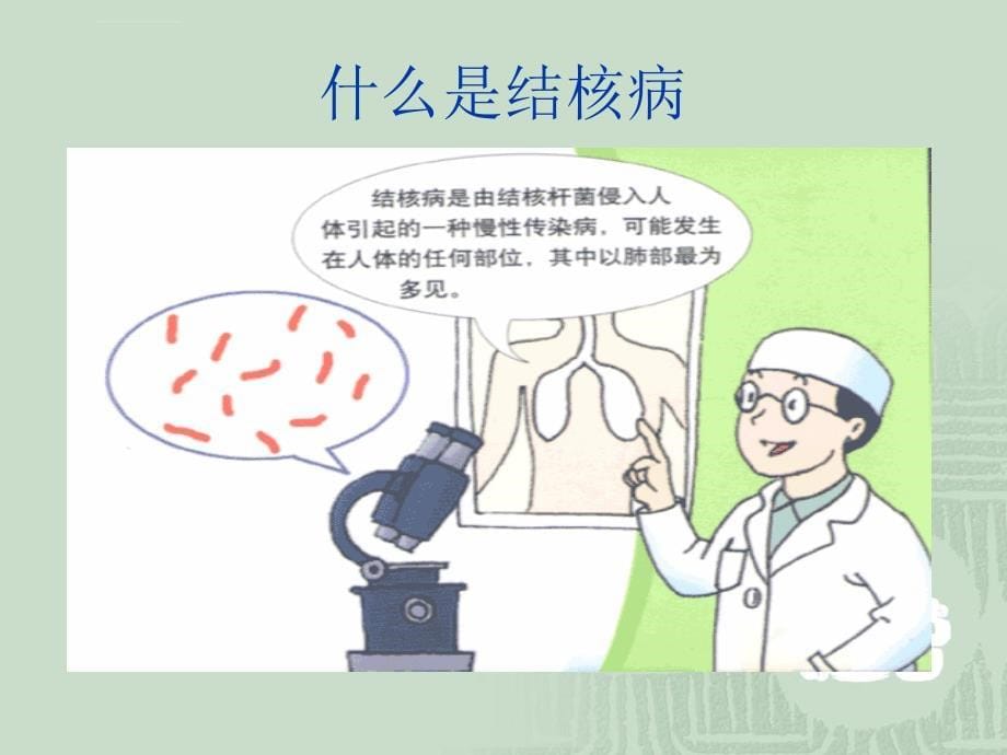 结核病的防治教学教案ppt课件_第5页