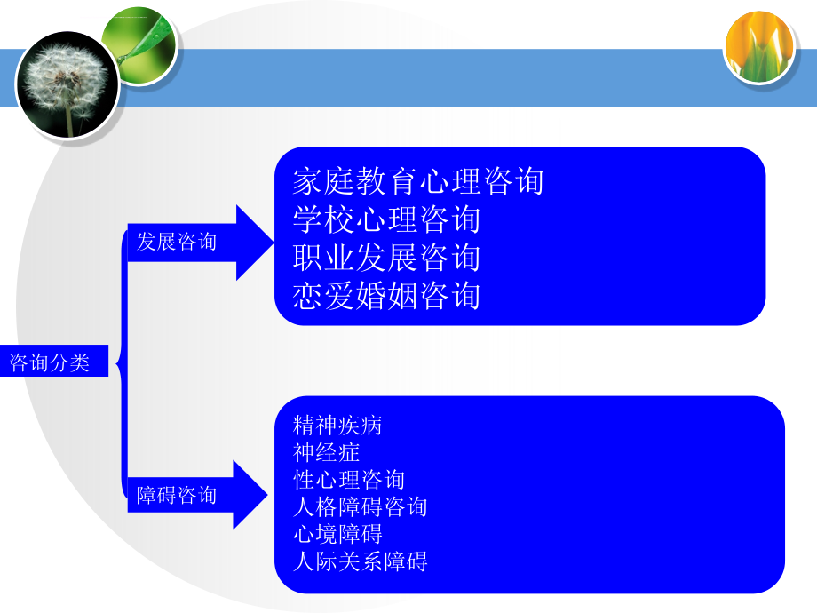 咨询对象的区分和心理诊断ppt课件_第2页