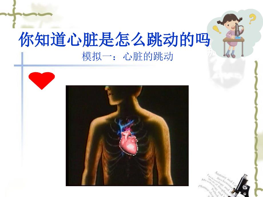 心脏与血液循环五年级苏教版科学ppt课件_第3页