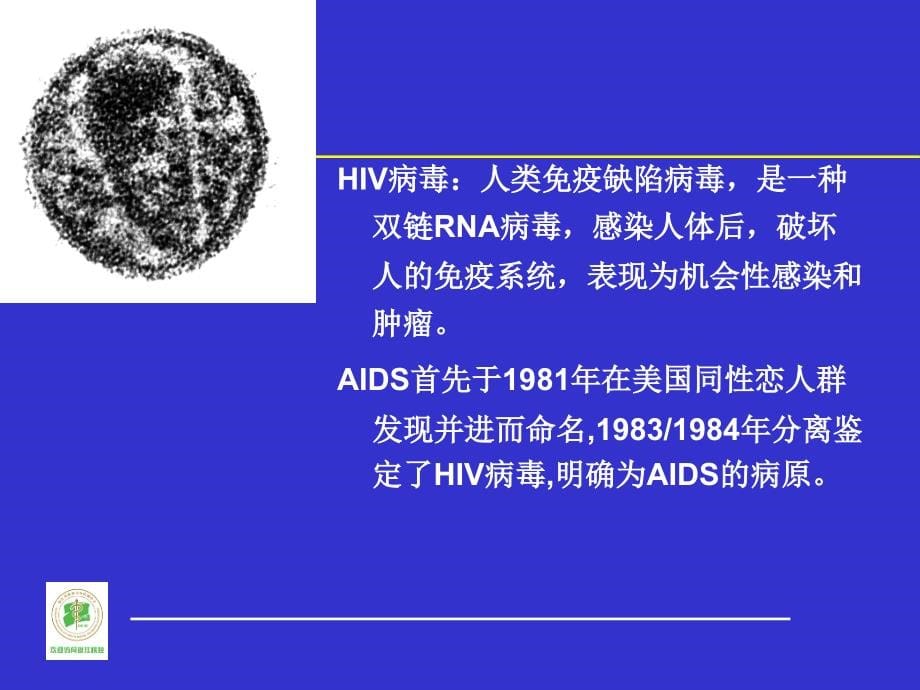 艾滋病流行病学_第5页