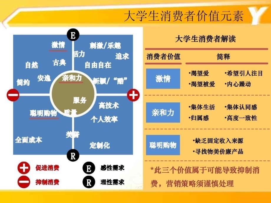 联想大学生市场营销策划全_第5页