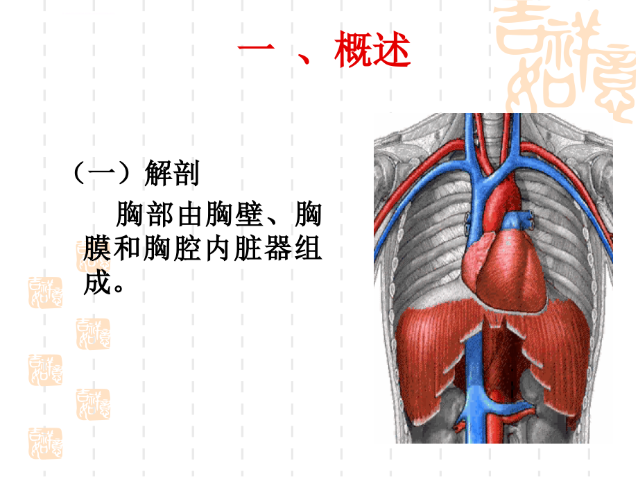 胸腔闭式引流病人的护理ppt课件_第4页