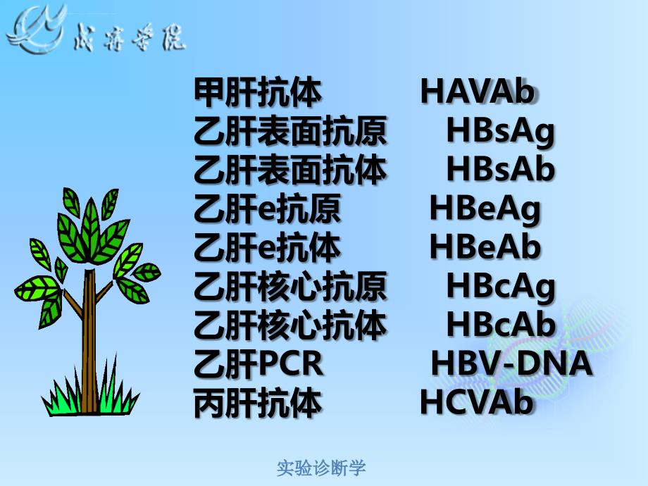 临床病原体检测（新）_第3页