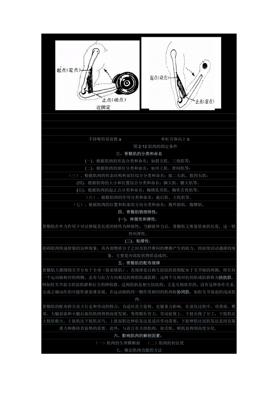 解剖学02666_第4页