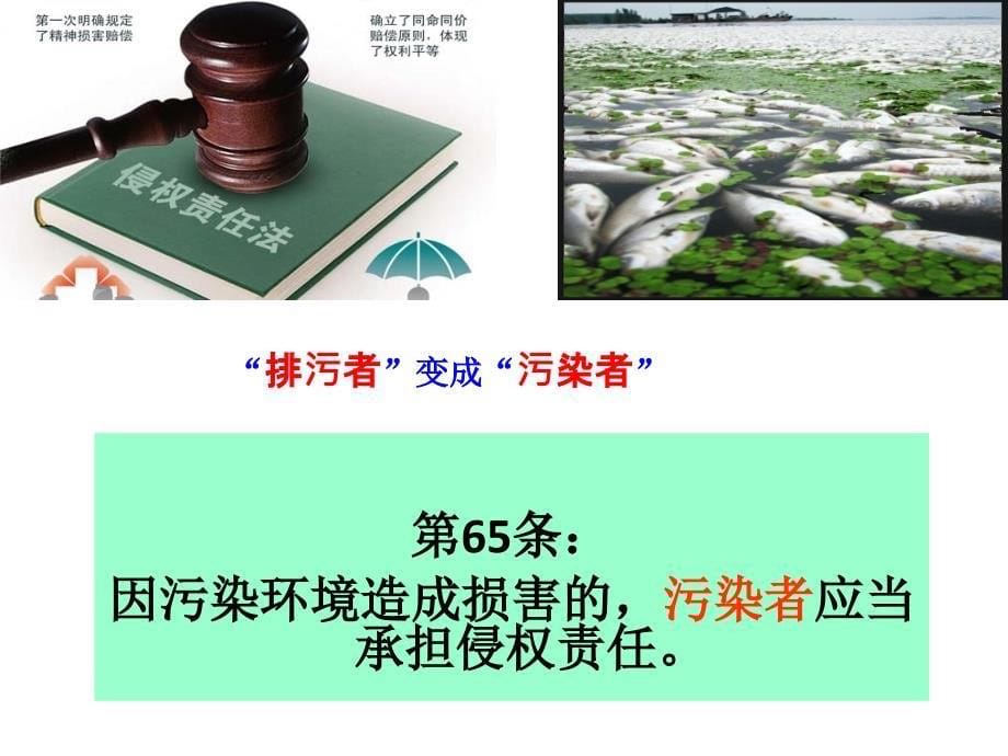 环境污染刑事案件司法解释学习_第5页