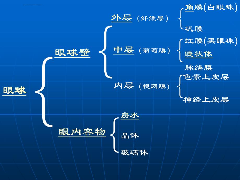 眼科知识与低视力常识ppt课件_第3页