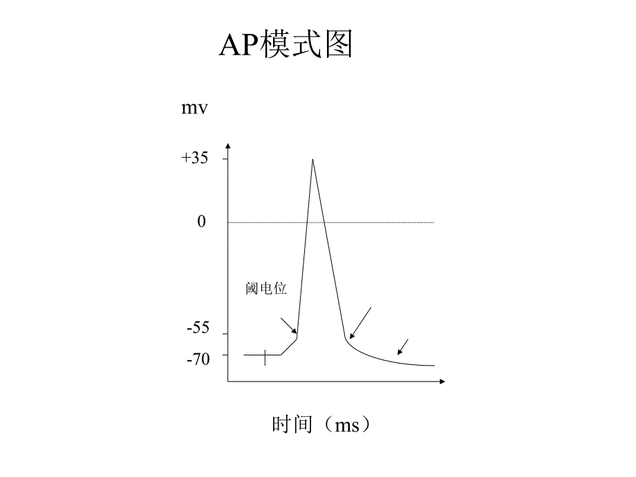 抗心律失常药物ppt课件_第3页