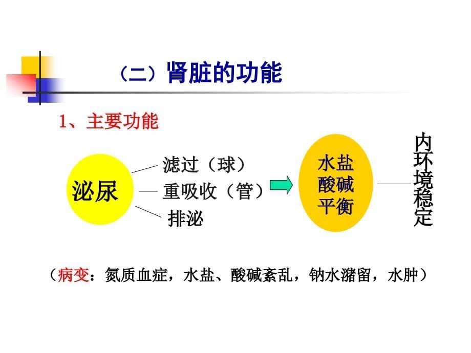 病理生理学课件肾衰改淡浅_第5页