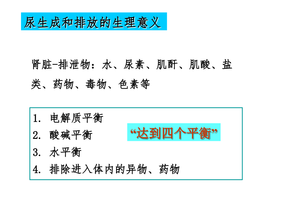 尿的生成和排出ppt课件_第3页