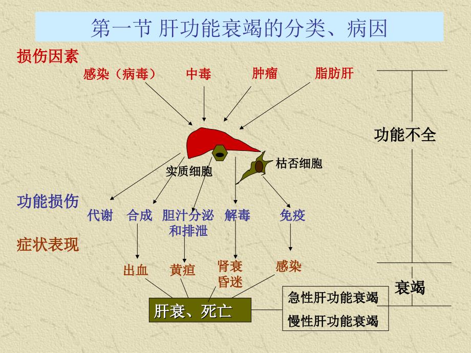 肝功能衰竭_第2页