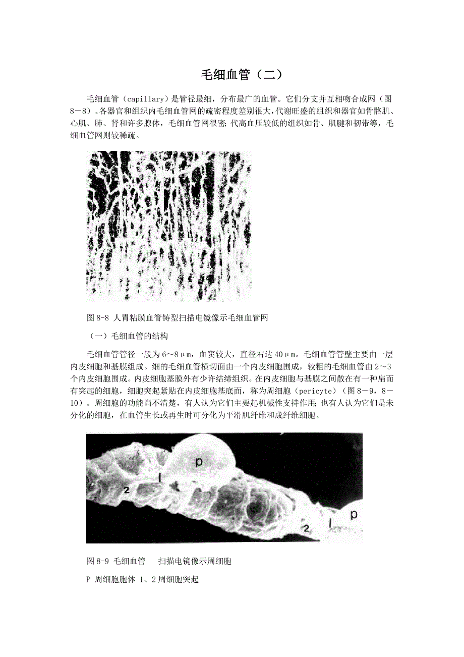 毛细血管(二)_第1页
