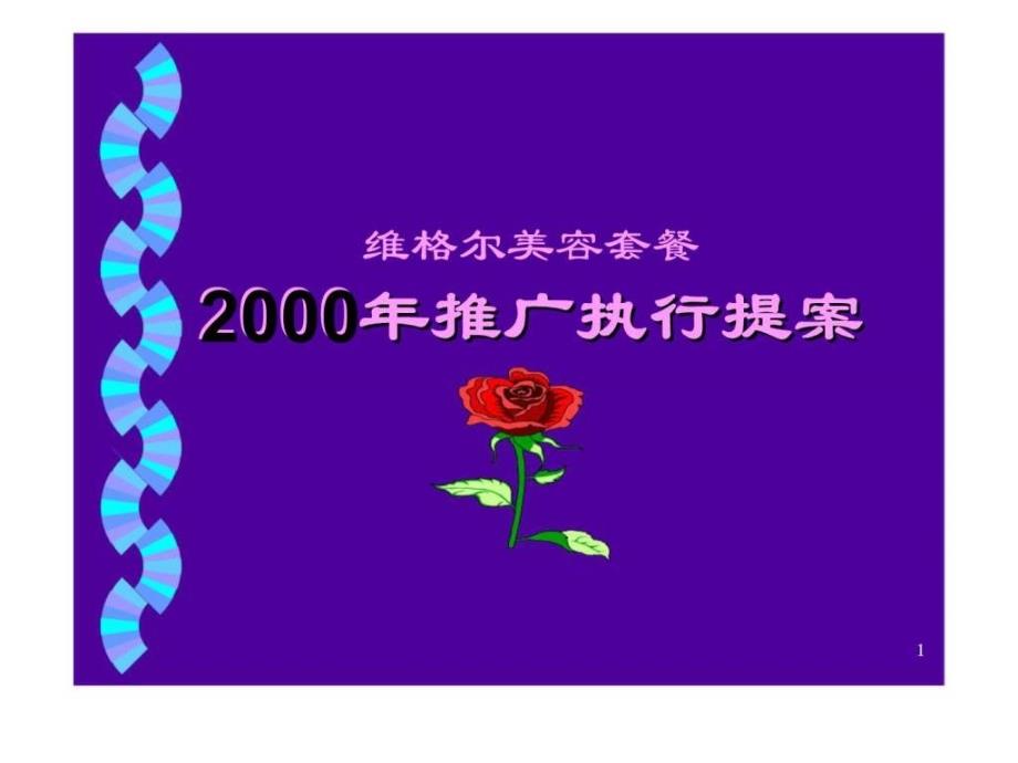 维格尔美容套餐2000年推广执行提案_第1页