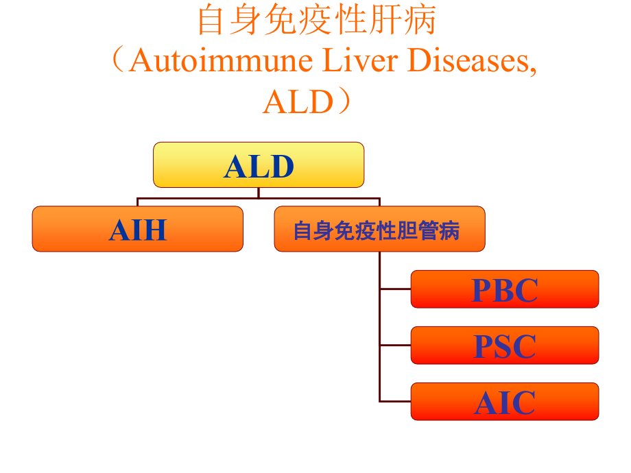 自身免疫性肝病诊治ppt课件_第2页