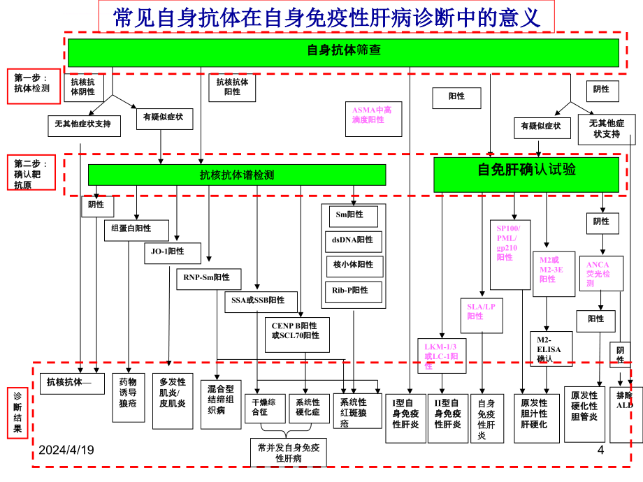 自身免疫性肝病诊治ppt课件_第4页