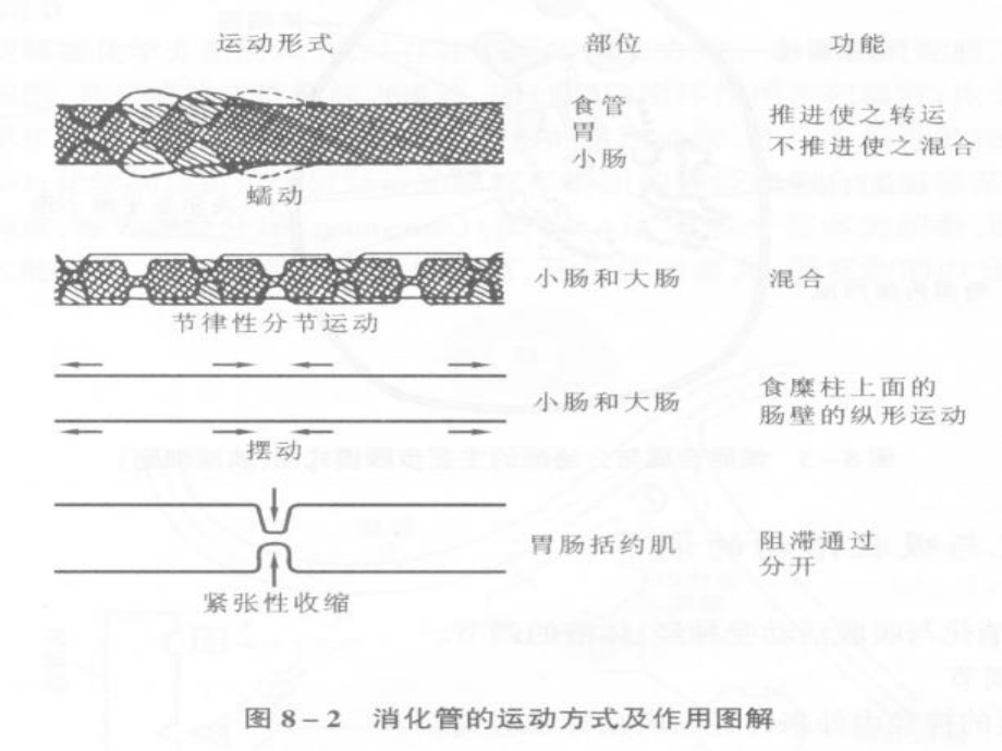 慢性便秘诊断与治疗ppt课件_第4页