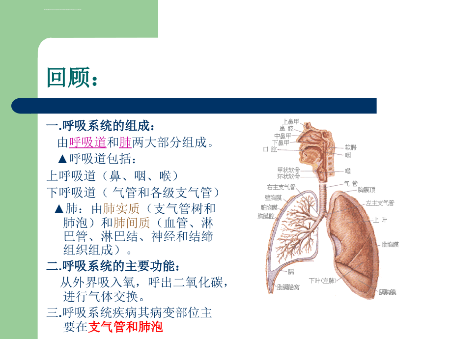 呼吸系统疾病常见症状_第3页