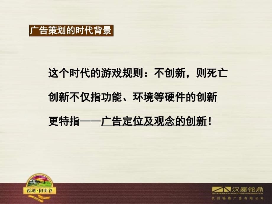 杭州阳明谷广告推广策略方案ppt培训课件_第5页