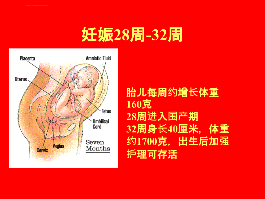 孕妇学校第三讲ppt课件_第3页