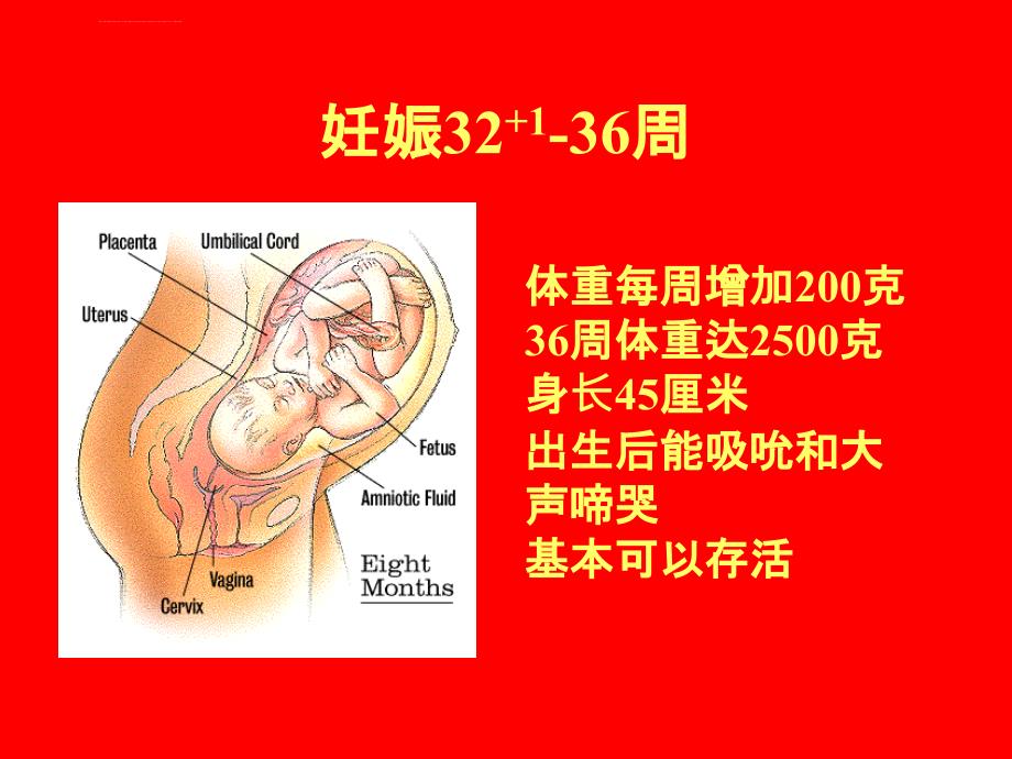 孕妇学校第三讲ppt课件_第4页