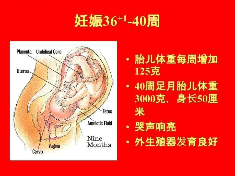 孕妇学校第三讲ppt课件_第5页