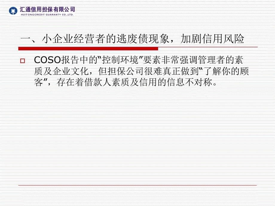 担保企业财务风险识别及防范最终版本已修改ppt培训课件_第5页