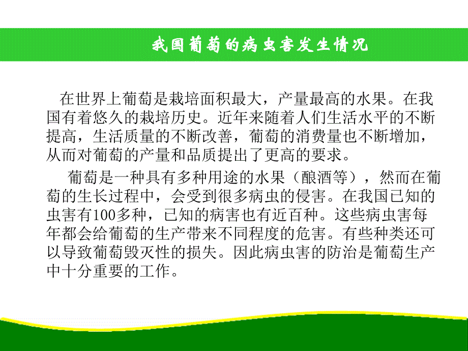 葡萄病虫害防治技术78190_第3页