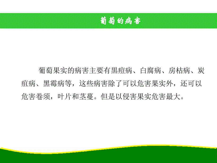 葡萄病虫害防治技术78190_第4页