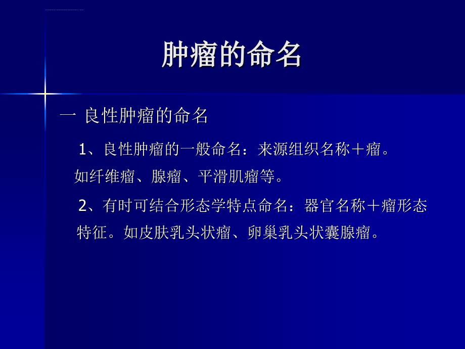 温医《病理学》实验全4肿瘤2ppt课件_第2页